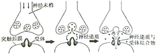 菁優(yōu)網