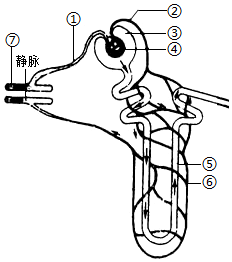 菁優(yōu)網(wǎng)