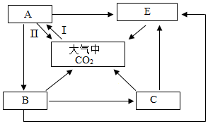 菁優(yōu)網(wǎng)