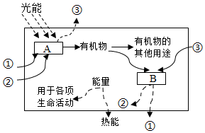 菁優(yōu)網(wǎng)