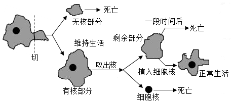 菁優(yōu)網