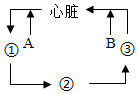 菁優(yōu)網(wǎng)