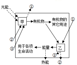 菁優(yōu)網(wǎng)