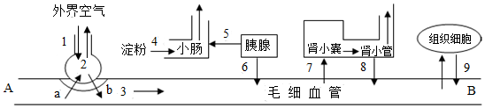 菁優(yōu)網(wǎng)