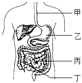 菁優(yōu)網(wǎng)