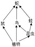 菁優(yōu)網(wǎng)