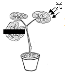 菁優(yōu)網(wǎng)