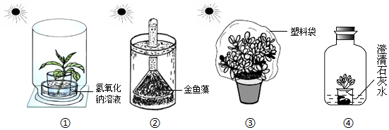 菁優(yōu)網(wǎng)