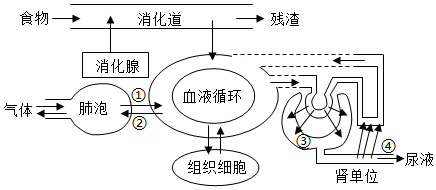 菁優(yōu)網(wǎng)