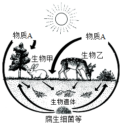 菁優(yōu)網(wǎng)