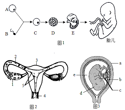 菁優(yōu)網