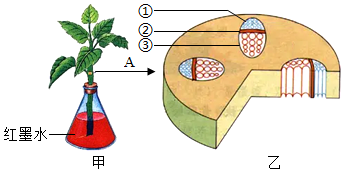 菁優(yōu)網(wǎng)