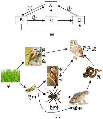 菁優(yōu)網(wǎng)