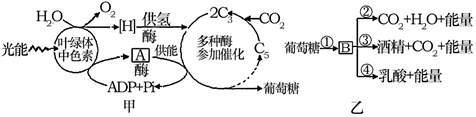 菁優(yōu)網(wǎng)