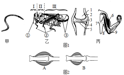 菁優(yōu)網(wǎng)