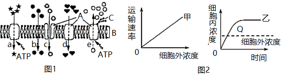 菁優(yōu)網(wǎng)