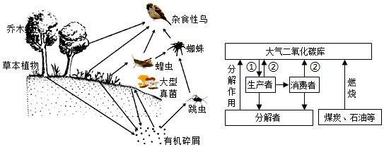 菁優(yōu)網