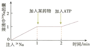 菁優(yōu)網