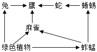 菁優(yōu)網(wǎng)