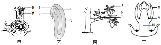 菁優(yōu)網(wǎng)