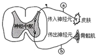 菁優(yōu)網