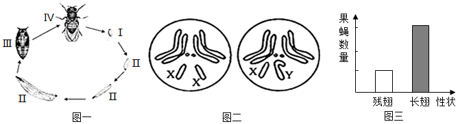 菁優(yōu)網