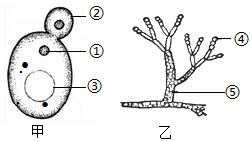 菁優(yōu)網(wǎng)