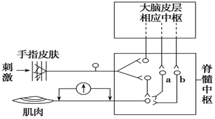 菁優(yōu)網(wǎng)