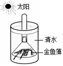 菁優(yōu)網(wǎng)