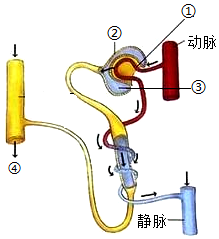 菁優(yōu)網(wǎng)