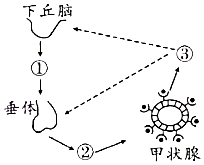 菁優(yōu)網(wǎng)