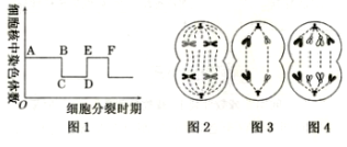 菁優(yōu)網