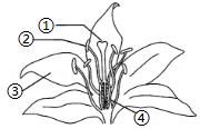 菁優(yōu)網(wǎng)