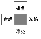 菁優(yōu)網(wǎng)