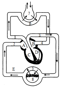 菁優(yōu)網(wǎng)