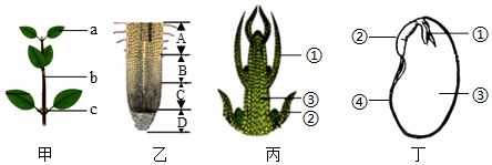 菁優(yōu)網(wǎng)