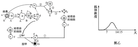 菁優(yōu)網