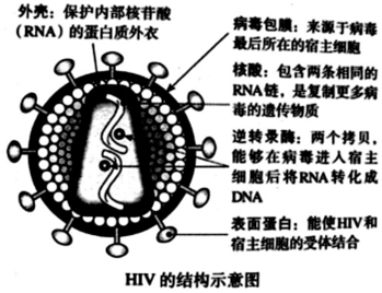 菁優(yōu)網