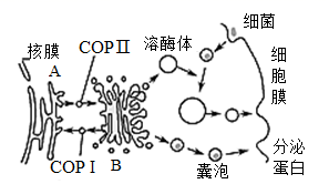 菁優(yōu)網(wǎng)