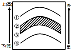 菁優(yōu)網(wǎng)