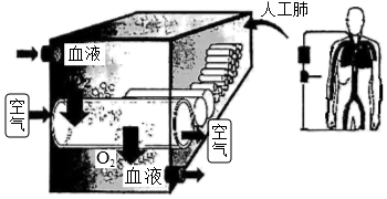 菁優(yōu)網(wǎng)