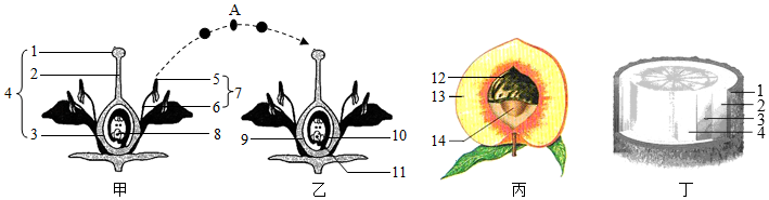 菁優(yōu)網(wǎng)