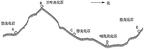 菁優(yōu)網