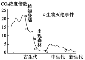 菁優(yōu)網