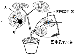 菁優(yōu)網(wǎng)