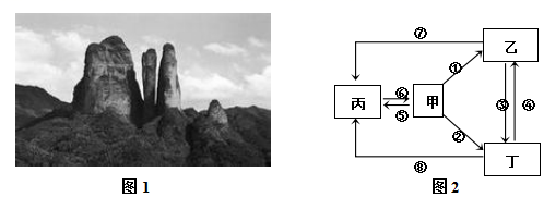 菁優(yōu)網