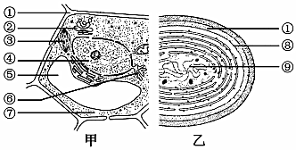 菁優(yōu)網(wǎng)