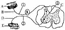 菁優(yōu)網(wǎng)