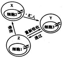 菁優(yōu)網(wǎng)