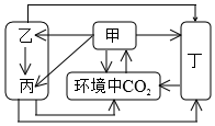 菁優(yōu)網(wǎng)